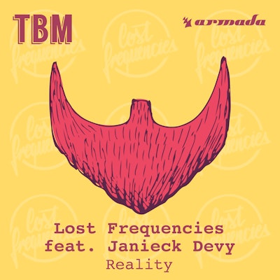 Reality - Lost Frequencies feat. Janieck Devy