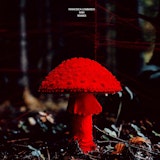 Rain (Remixes)