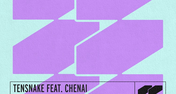Rules (Motez Remix) - Tensnake feat. Chenai