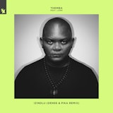Izindlu (Dense & Pika Remix)