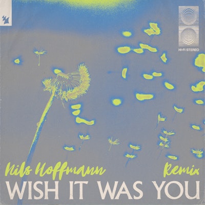 Wish It Was You (Nils Hoffmann Remix) - Audien feat. Cate Downey