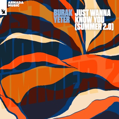 Just Wanna Know You (Summer 2.0) - Burak Yeter