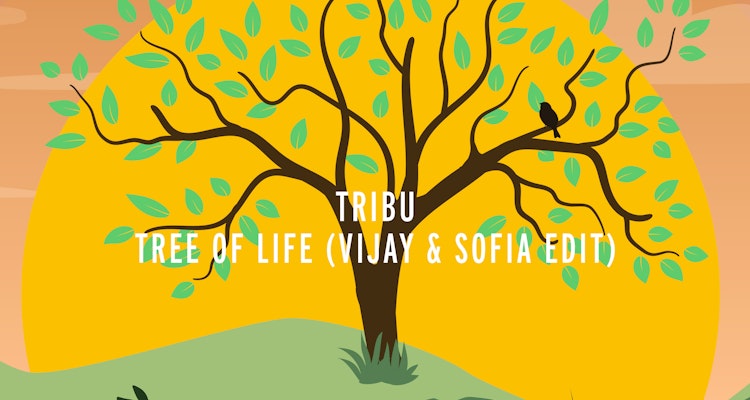Tree Of Life (Vijay & Sofia Edit) - TRIBU