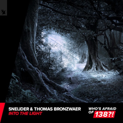 Into The Light - Sneijder & Thomas Bronzwaer