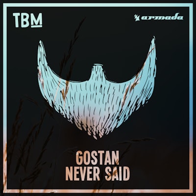 Never Said - Gostan