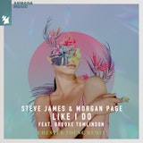 Like I Do (Chester Young Remix)