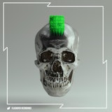 Punk